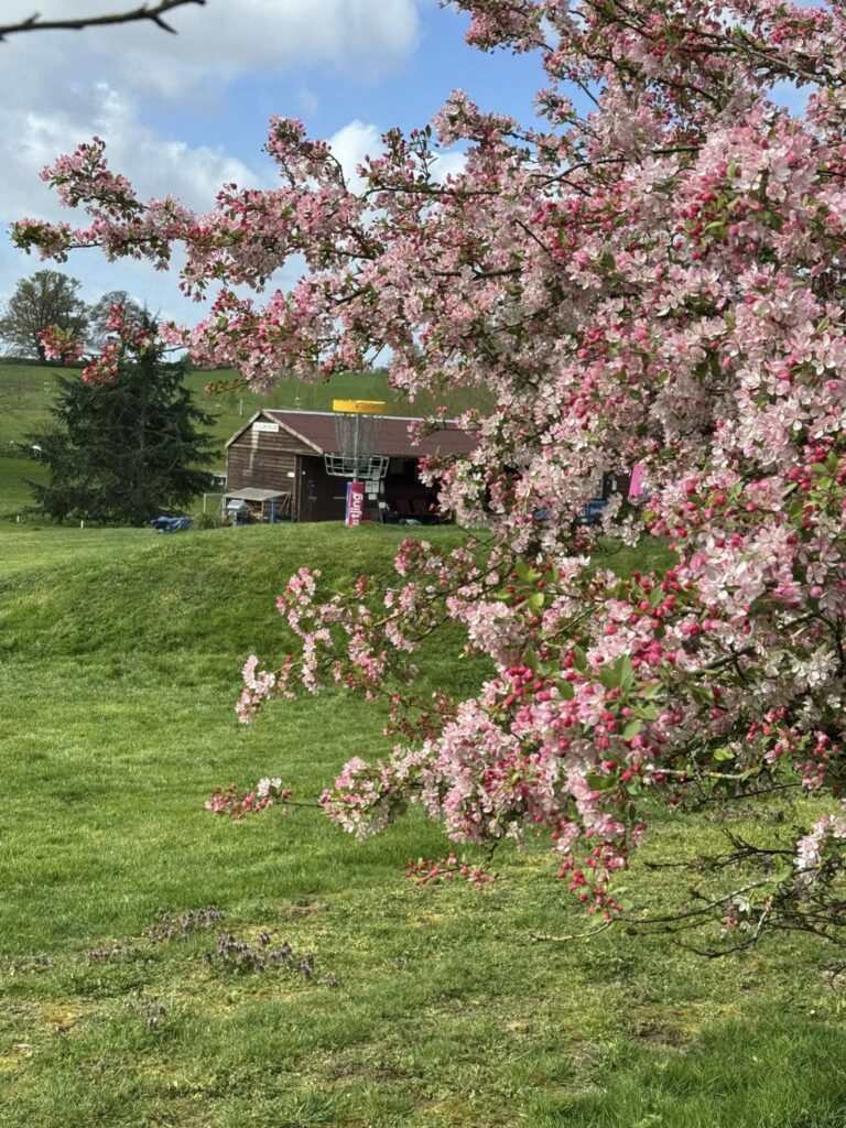 Spring at the Park Disc Golf England 2026