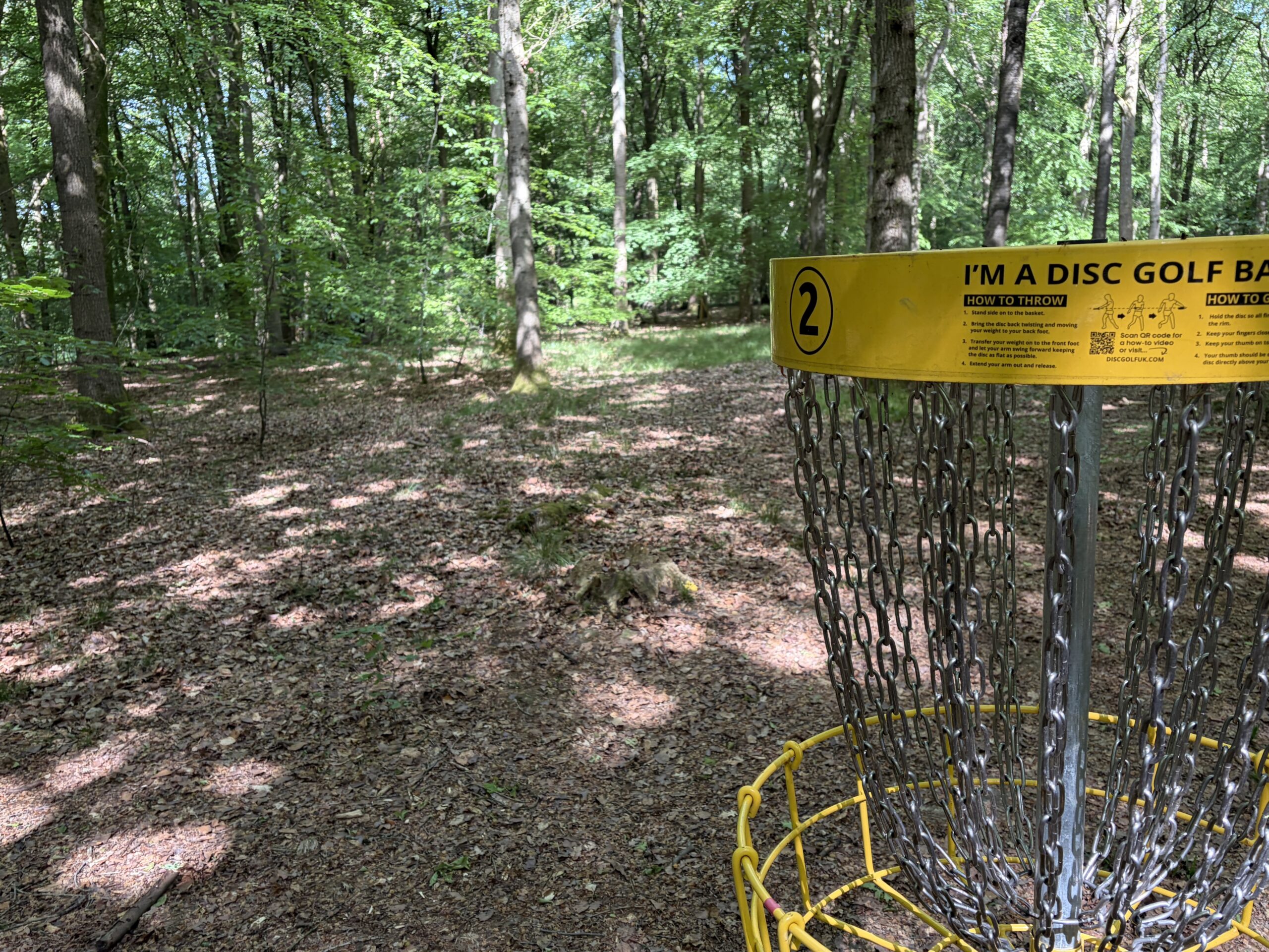 Disc golf | Forestry England