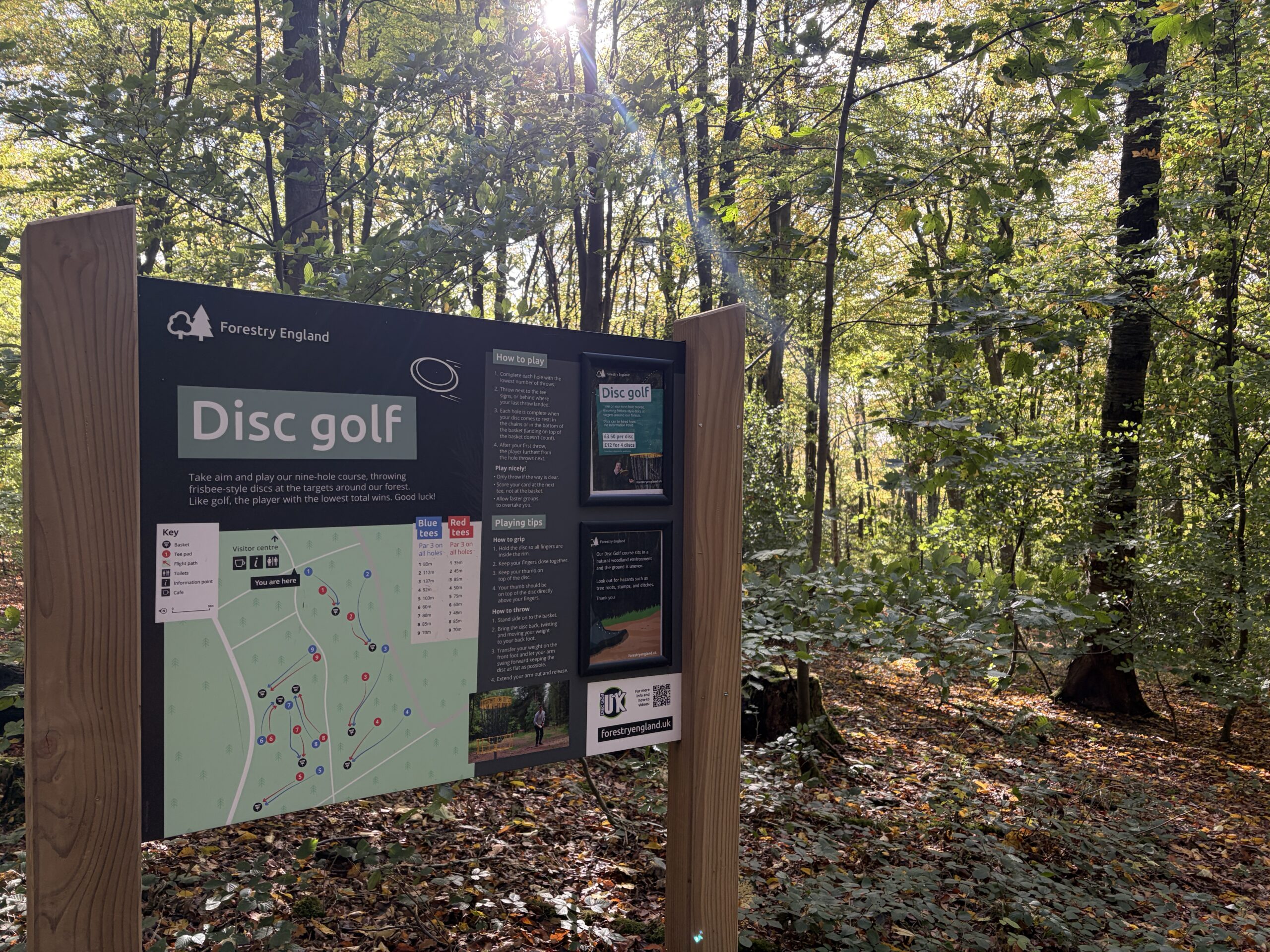 Disc golf | Forestry England